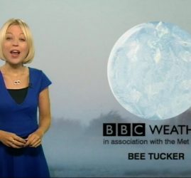 Bee Tucker